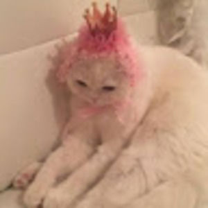 Meet your Posher, Annahi